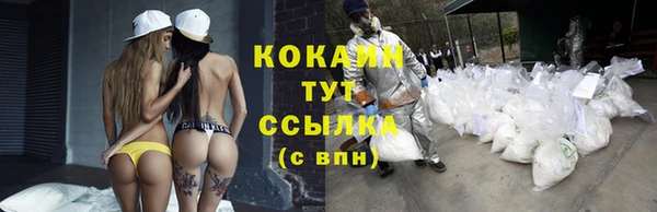 соль курить ск Архангельск