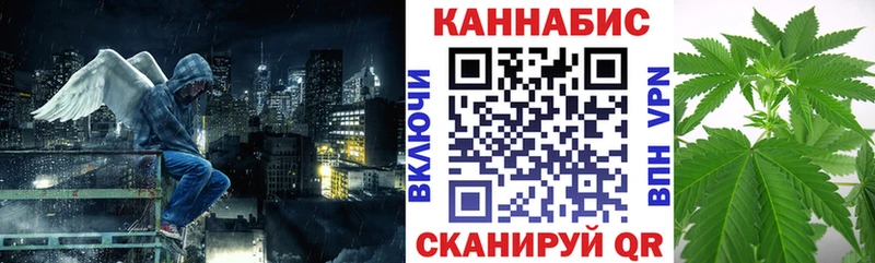 Купить  Петровск  Бошки марихуана план 